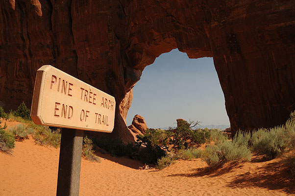 DSC_1812.jpg (4288x2848) NIKON D300 - 18-200mm f/3.5-5.6 // F10 // 1/320 sec // ISO 400 // 18,0 mm // no Flash // 2008:07:10 09:54:02 DSC_1812.jpg (4288x2848) NIKON D300 - 18-200mm f/3.5-5.6 // F10 // 1/320 sec // ISO 400 // 18,0 mm // no Flash // 2008:07:10 09:54:02